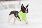 Puppia Softharness Neon Harness A PAPA-AC1325 - Kopie